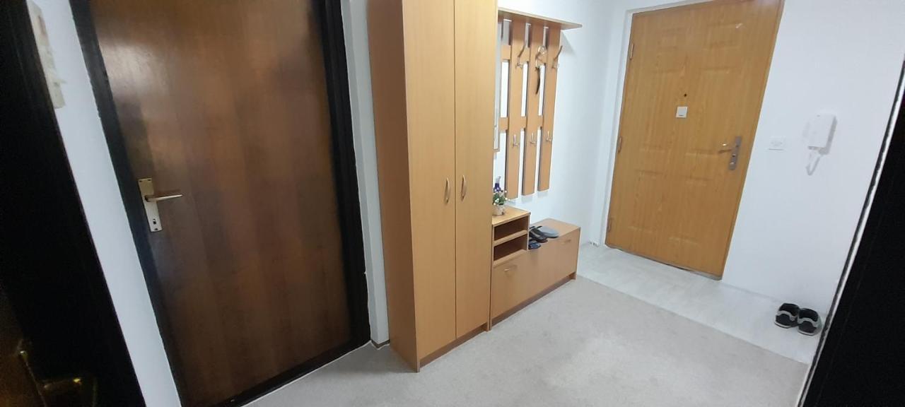 Cozy And Sunny Apartment Near The Airport Sarajevo Exteriör bild